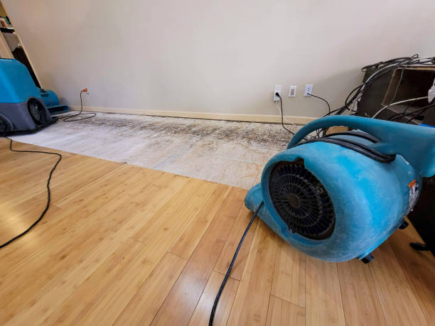 Professional Flood Damage Cleanup technician working in Annandale, VA